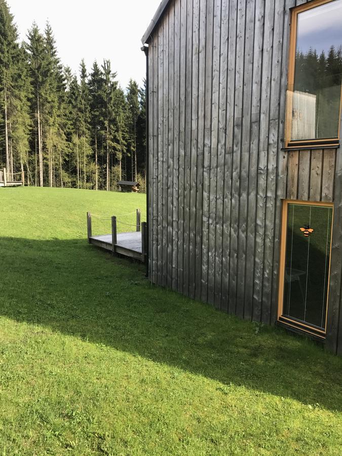 Chalet6Harrachov Se Saunou Екстериор снимка